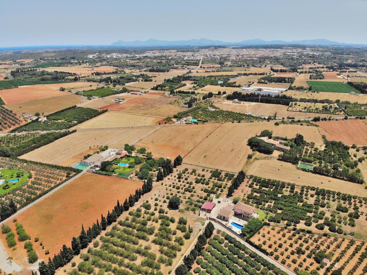 239 Villa Biniaco Etv4993 By Mallorca Charme Muro Εξωτερικό φωτογραφία